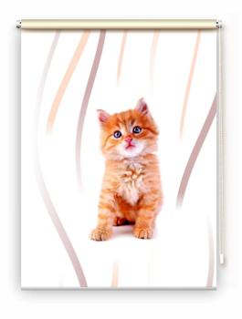 Rollo Lion vertic Katzenbaby, Rollo, Motivrollo, Rollo mit Druck, Fotorollo, bedrucktes Rollo, Fensterrollo,verdunkelndes Rollo, Sonnenschutz Rollo